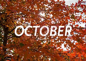 Oct là tháng mấy trong tiếng Anh? Ý nghĩa và cách dùng October