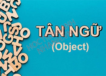 Tân ngữ là gì? Hiểu hết kiến thức về tân ngữ trong 5 phút