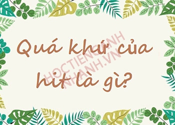 Quá khứ của hit là gì? Cấu trúc hit và cách chia hit theo thì