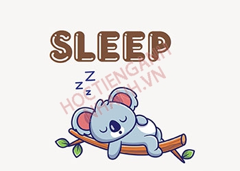 Quá khứ của sleep là gì? Chia động từ slep theo thì cực dễ hiểu