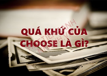 Quá khứ của choose là gì? Cách chia động từ choose theo thì chi tiết nhất