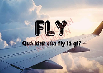 Quá khứ của fly là gì?  Chia động từ fly theo thì tiếng Anh