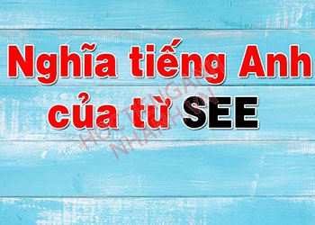 Quá khứ của see là gì? Nghĩa và cách chia động từ see trong tiếng anh