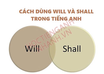 Cách dùng will và shall trong thì tương lai đơn chi tiết nhất