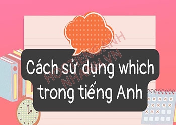 Cách dùng Which chi tiết, phân biệt which và what trong câu