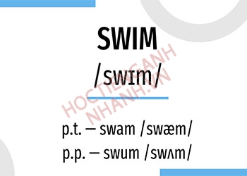 Quá khứ của swim là gì? Cách sử dụng swam và swum trong tiếng Anh