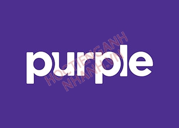 Purple là màu gì? Khám phá cách dùng purple trong tiếng Anh