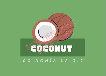 Coconut là gì? Ý nghĩa và cách dùng coconut trong tiếng Anh