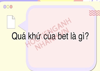 Quá khứ của bet là gì? Chia động từ bet theo thì và dạng đặc biệt