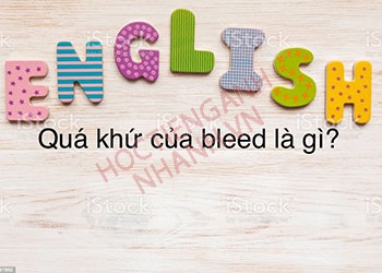 Quá khứ của bleed là gì? Chia dộng từ bleed theo thì và dạng đặc biệt