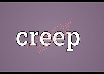 Quá khứ của creep là gì? Chia động từ creep theo thì chuẩn nhất