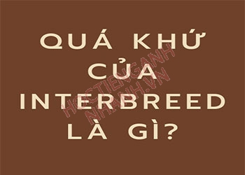 Quá khứ của interbreed là gì? Chia động từ interbreed theo thì