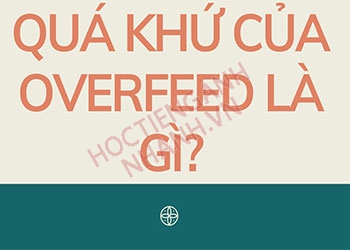 Quá khứ của overfeed là gì? chia động từ overfeed chuẩn nhất