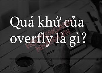 Quá khứ của overfly là gì? Các dạng của overfly theo nhóm thì