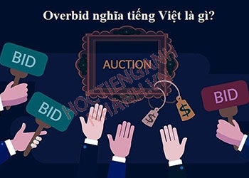 Quá khứ của overbid là gì? cách chia động từ overbid chuẩn nhất