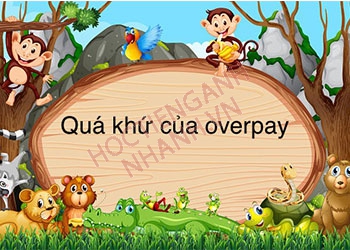 Quá khứ của overpay là gì? Chia động từ overlay theo các nhóm thì