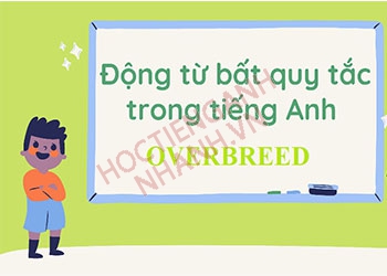 Quá khứ của overbreed và cách chia động từ theo thì tiếng Anh