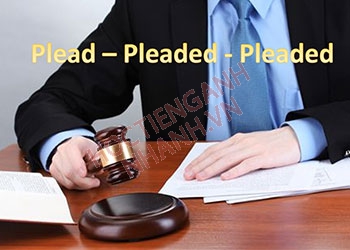 Quá khứ của plead là gì? Cách chia động từ plead dễ dàng