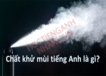 Chất khử mùi tiếng Anh là gì? Các từ vựng liên quan đến deodorant