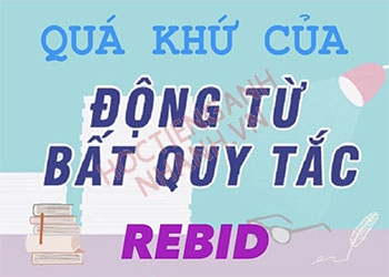 Quá khứ của rebid là gì? Chia động từ rebid theo thì tiếng Anh