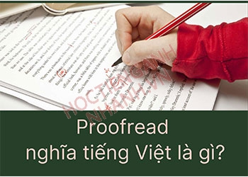 Quá khứ của proofread là gì? Cách chia proofread cực đơn giản