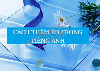 Cách thêm ed sau động từ chuẩn xác nhất trong tiếng Anh