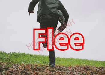 Quá khứ của Flee là gì? Cách chia động từ Flee chuẩn