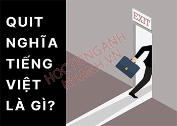 Quá khứ của quit là gì? Cách chia quit theo nhóm thì