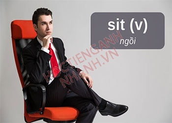 Quá khứ của sit là gì? Chia động từ sit theo thì cực chuẩn