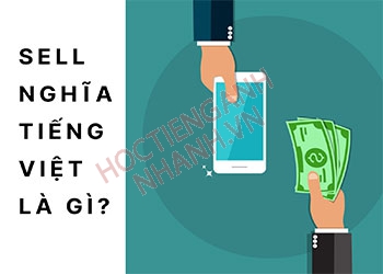 Quá khứ của sell là gì? Cách chia động từ sell chuẩn