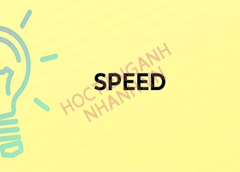 Quá khứ của speed là gì? 2 dạng chia theo thì và câu đặc biệt