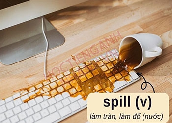 Quá khứ của spill là gì? Cách chia động từ spill theo thì chuẩn