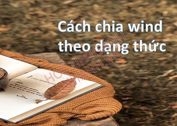 Quá khứ của wind là gì? Cách chia động từ wind chuẩn