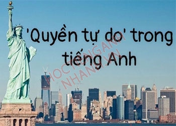 Quyền tự do tiếng Anh là gì? cách phát âm và ví dụ