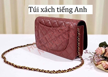 Túi xách tiếng Anh là gì? Ví dụ và từ vựng liên quan