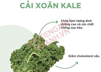 Cải xoăn tiếng Anh là gì? Ví dụ và các cụm từ liên quan