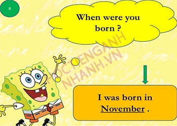 When were you born nghĩa là gì? Cách trả lời theo người Anh
