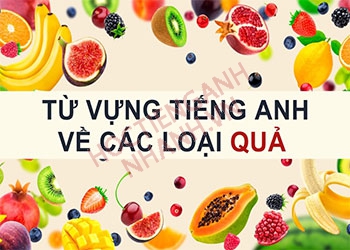 Tổng hợp bộ từ vựng tiếng Anh về các loại quả phổ biến nhất