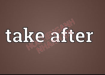 Take after là gì? Cách dùng take after chuẩn trong tiếng Anh