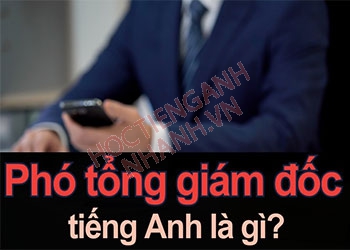 Phó tổng giám đốc tiếng Anh là gì? Cách đọc và ví dụ câu liên quan