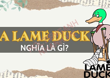 A lame duck nghĩa là gì? Ý nghĩa và các cụm từ liên quan