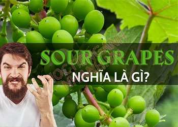 Sour grapes nghĩa là gì? Ví dụ câu với sour grapes