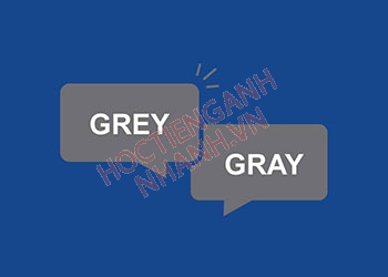 Gray nghĩa tiếng Việt là gì? Ngữ nghĩa và cách đọc chuẩn