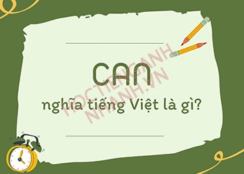 Can nghĩa tiếng Việt là gì và cách sử dụng trong tiếng Anh