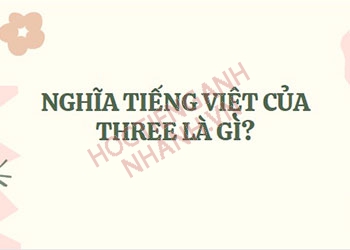 Three nghĩa tiếng Việt là gì? Cách sử dụng three trong tiếng Anh