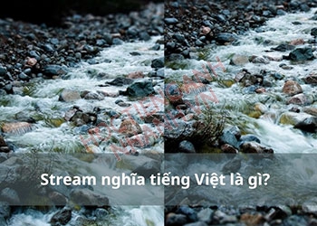 Stream nghĩa tiếng Việt là gì? Cách sử dụng từ stream chuẩn