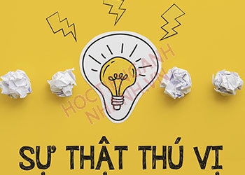 Thú vị tiếng Anh là gì? Phát âm chuẩn và kiến thức liên quan