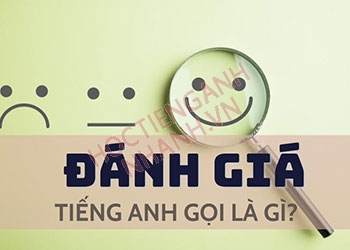 Đánh giá tiếng Anh là gì? Từ đồng nghĩa và ví dụ liên quan