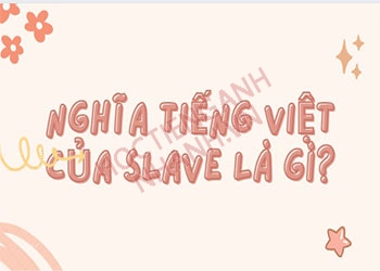 Slave nghĩa tiếng Việt là gì? Ví dụ và cách phát âm Slave chuẩn