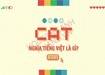 Cat nghĩa tiếng Việt là gì và cách phát âm chuản Anh - Mỹ ra sao?